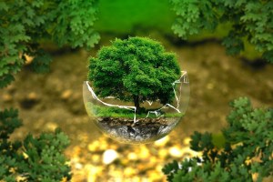 hr 在 esg 中如何助攻企業永續經營?